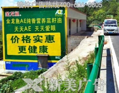 金龙鱼墙体广告