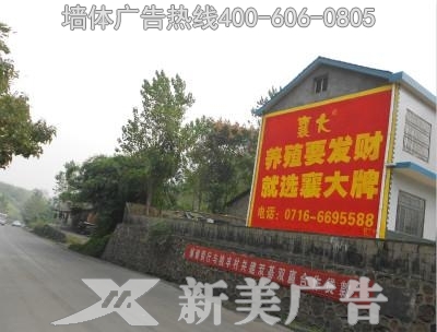襄大饲料墙体广告