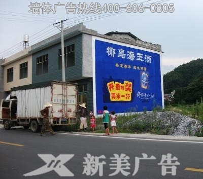 椰岛海王酒墙体广告