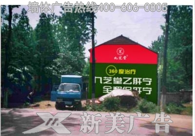 九芝堂墙体广告