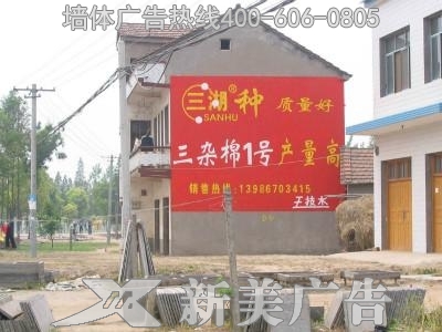 三湖种子墙体广告