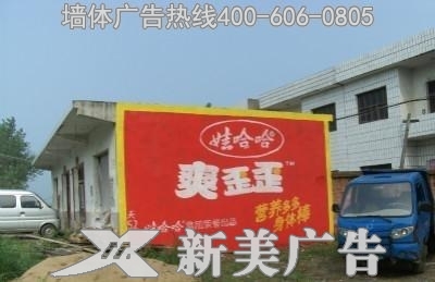 娃哈哈墙体广告