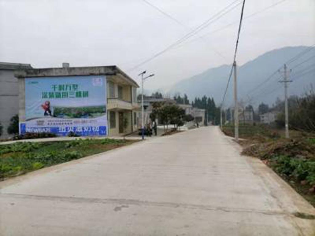 三棵树湖南，湖北，山东墙体喷绘广告墙体广告