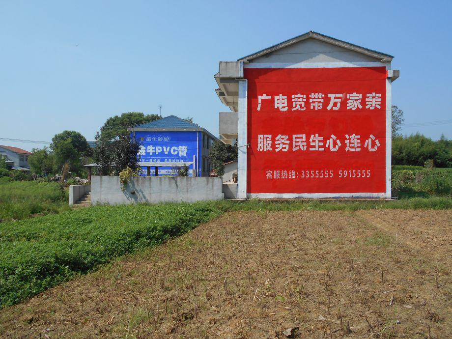 鄂州电视台墙体广告墙体广告