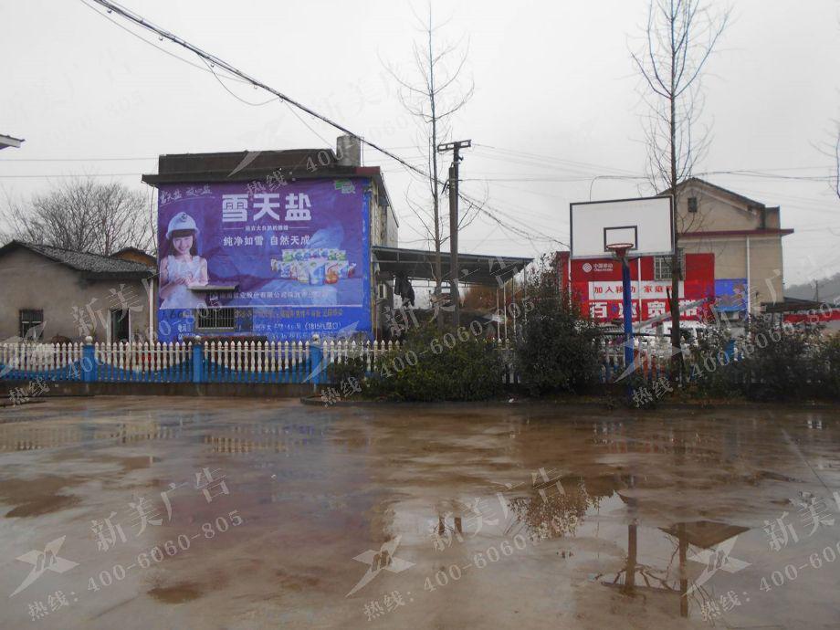 株洲盐业墙体广告