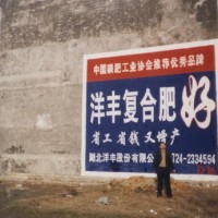洋丰复合肥墙体广告