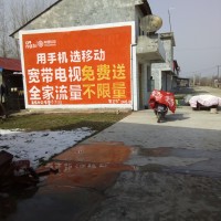 安乡临澧移动墙体广告