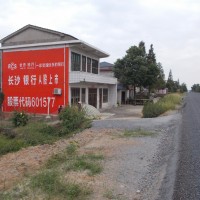湖南长沙银行墙体广告