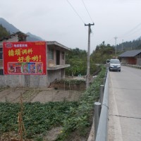 重庆桥头调料墙体广告