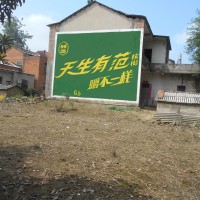 湖南胖哥槟榔墙体广告