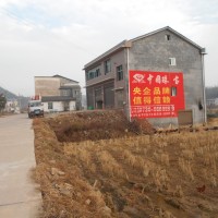 中国珠宝黄金墙体广告