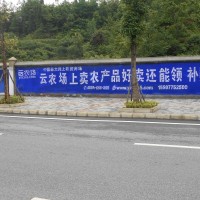 天辰云农场墙体广告