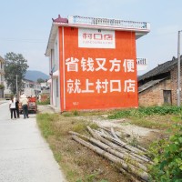 村口店电商墙体广告