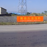 云南青葵饲料墙体广告