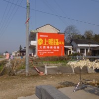 掌上明珠家具墙体广告
