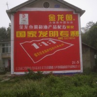 金龙鱼调合油墙体广告