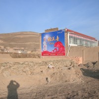稻花香活力型·珍品壹号墙体广告