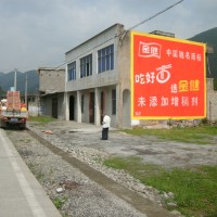 湖南金健米业墙体广告