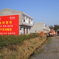 中国电信集团