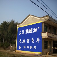 湖南德海药业墙体广告