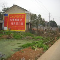 张万福珠宝