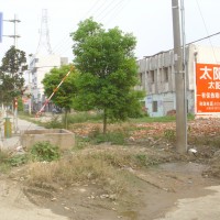 太阳雨太阳能