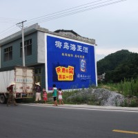 椰岛海王酒