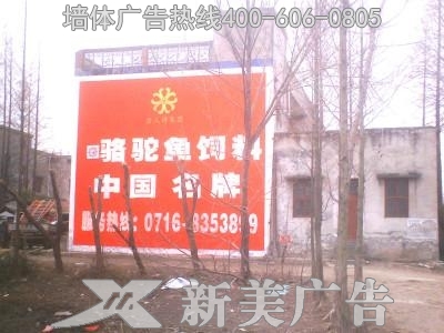 湘大骆驼饲料
