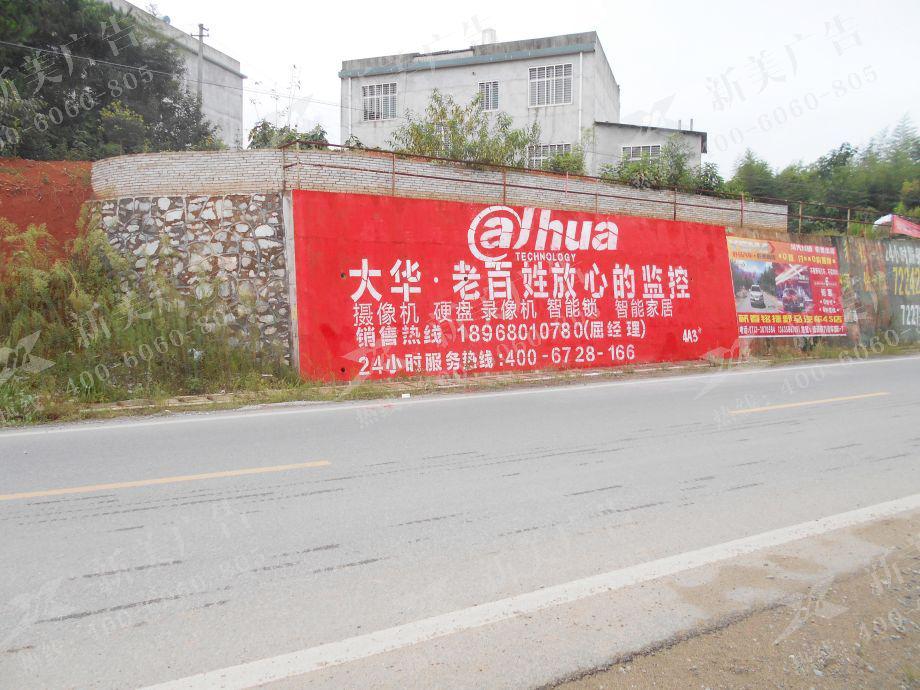 大华监控墙体广告
